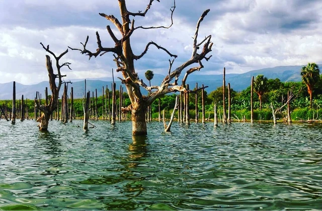 Lago Enriquillo La Descubierta